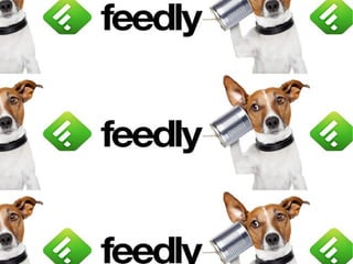 Presentación de mi ple.