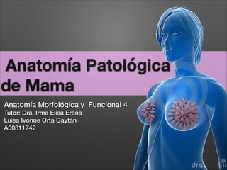 Anatomía Patológica
de Mama
Anatomía Morfológica y Funcional 4
Tutor: Dra. Irma Elisa Eraña
Luisa Ivonne Orta Gaytán
A00811742
 