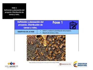 https://pixabay.com/es/copa-de-la-reina-panal-miel-de-abeja-337695/
FASE 1
Definición y planeación del
proyecto. Distribución de
tareas y roles.
 