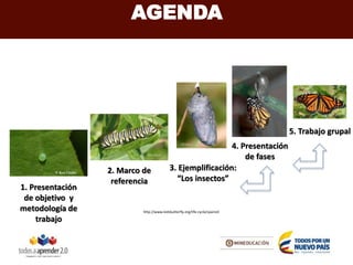 1. Presentación
de objetivo y
metodología de
trabajo
2. Marco de
referencia
4. Presentación
de fases
3. Ejemplificación:
“Los insectos”
5. Trabajo grupal
http://www.kidsbutterfly.org/life-cycle/spanish
AGENDA
 