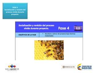 FASE 4
Socialización y revisión del
proceso vivido durante
proyecto.
 