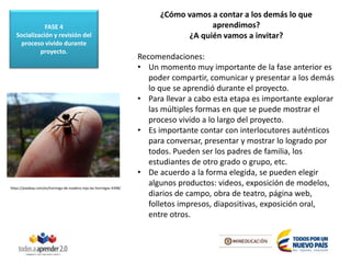 ¿Cómo vamos a contar a los demás lo que
aprendimos?
¿A quién vamos a invitar?
Recomendaciones:
• Un momento muy importante de la fase anterior es
poder compartir, comunicar y presentar a los demás
lo que se aprendió durante el proyecto.
• Para llevar a cabo esta etapa es importante explorar
las múltiples formas en que se puede mostrar el
proceso vivido a lo largo del proyecto.
• Es importante contar con interlocutores auténticos
para conversar, presentar y mostrar lo logrado por
todos. Pueden ser los padres de familia, los
estudiantes de otro grado o grupo, etc.
• De acuerdo a la forma elegida, se pueden elegir
algunos productos: videos, exposición de modelos,
diarios de campo, obra de teatro, página web,
folletos impresos, diapositivas, exposición oral,
entre otros.
https://pixabay.com/es/hormiga-de-madera-roja-las-hormigas-4398/
FASE 4
Socialización y revisión del
proceso vivido durante
proyecto.
 