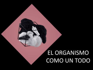 EL ORGANISMO
COMO UN TODO
 