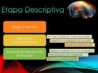 Elegir la técnica
Aplicar los
procedimientos
Elaborar la descripción
protocolar
Ver todo lo dado en cuanto sea posible
Observar la complejidad de las partes
Repetir las observaciones
Reflejar la realidad tal como se presente
Ser lo mas completa posible
Evitar prejuicios del investigador
 