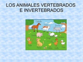 LOS ANIMALES VERTEBRADOS
E INVERTEBRADOS
 