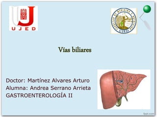 Vías biliares
Doctor: Martínez Alvares Arturo
Alumna: Andrea Serrano Arrieta
GASTROENTEROLOGÍA II
 