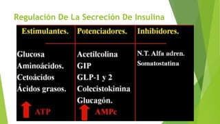 Regulación De La Secreción De Insulina
 