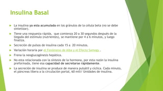 Insulina Basal
 La insulina ya esta acumulada en los gránulos de la célula beta (no se debe
sintetizar).
 Tiene una respuesta rápida, que comienza 20 a 30 segundos después de la
llegada del estímulo (nutrientes), se mantiene por 4 a 6 minutos, y luego
finaliza.
 Secreción de pulsos de insulina cada 15 a 20 minutos.
 Variación horaria por el Fenómeno de Alba y el Efecto Somogy .
 Frena la neoglucogénesis hepática.
 No esta relacionada con la síntesis de la hormona, por esta razón la insulina
preformada, tiene esa capacidad de secretarse rápidamente.
 La secreción de insulina se produce de manera pulsátil y cíclica. Cada minuto,
el páncreas libera a la circulación portal, 60 mili/ Unidades de insulina.
 