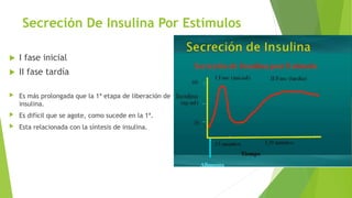  I fase inicial
 II fase tardía
 Es más prolongada que la 1ª etapa de liberación de
insulina.
 Es difícil que se agote, como sucede en la 1ª.
 Esta relacionada con la síntesis de insulina.
Secreción De Insulina Por Estímulos
 