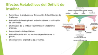Efectos Metabólicos del Déficit de
Insulina.
 Aumento de la producción y disminución de la utilización de
la glucosa.
 Activación de la cetogénesis y disminución de la utilización
de cetoácidos.
 Disminución de la síntesis y aumento del catabolismo
proteico.
 Aumento del estrés oxidativo.
 Activación de las vías no insulino-dependientes de la
glucosa.
 Glicosilación no enzimática de proteínas.
 