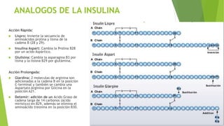 ANALOGOS DE LA INSULINA
Acción Rápida:
 Lispro: Invierte la secuencia de
aminoácidos prolina y lisina de la
cadena B (28 y 29).
 Insulina Aspart: Cambia la Prolina B28
por un acido Aspártico.
 Glulisina: Cambia la asparagina B3 por
lisina y la lisisna B29 por glutámina.
Acción Prolongada:
 Glardina: 2 moleculas de arginina son
adicionadas a la cadena B en la posiciòn
C-terminal y también se cambia una
Aspartato Arginina por Glicina en la
posición A21.
 Detemir: adición de un Acido Graso de
cadena larga de 14 carbonos (ácido
mirístico) en B29, además se elimina el
aminoácido treonina en la posición B30.
 