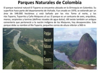 El parque nacional natural El Tuparro se encuentra ubicado en la Orinoquia en Colombia. Su
superficie hace parte del departamento de Vichada. Fue creado en 1970, se extiende por un
área de 548.000 hectáreas y está bañado por los ríos Tomo al norte, y los
ríos Tuparro, Tuparrito y Caño Maipures al sur. El parque es un santuario de aves, orquídeas,
monos, serpientes y toninas (delfines rosados de agua dulce). Allí existe también un antiguo
cementerio que perteneció a la nación indígena de los Maipures, hoy desaparecidos. Este
parque debe su nombre al Río Tuparro, pequeños cerros de altura inferior a 900 m
Parques Naturales de Colombia
 