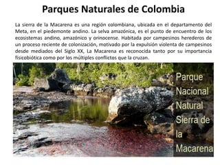 La sierra de la Macarena es una región colombiana, ubicada en el departamento del
Meta, en el piedemonte andino. La selva amazónica, es el punto de encuentro de los
ecosistemas andino, amazónico y orinocense. Habitada por campesinos herederos de
un proceso reciente de colonización, motivado por la expulsión violenta de campesinos
desde mediados del Siglo XX, La Macarena es reconocida tanto por su importancia
físicobiótica como por los múltiples conflictos que la cruzan.
Parques Naturales de Colombia
 