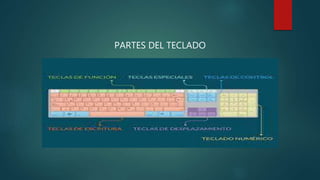 PARTES DEL TECLADO
 