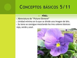 CONCEPTOS BÁSICOS 5/11
 PÍXEL:
-. Abreviatura de “Picture Element”
-. Unidad mínima en la que se divide una imagen de bits.
-. Su tono se consigue mezclando los tres colores básicos:
rojo, verde y azul.
 