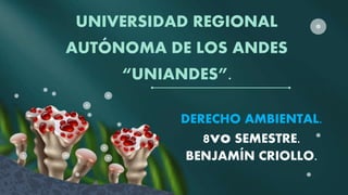 UNIVERSIDAD REGIONAL
AUTÓNOMA DE LOS ANDES
“UNIANDES”.
DERECHO AMBIENTAL.
8vo SEMESTRE.
BENJAMÍN CRIOLLO.
 