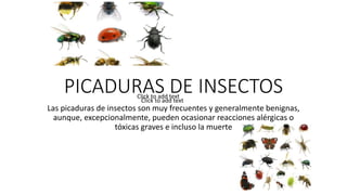 PICADURAS DE INSECTOS
Las picaduras de insectos son muy frecuentes y generalmente benignas,
aunque, excepcionalmente, pueden ocasionar reacciones alérgicas o
tóxicas graves e incluso la muerte
Click to add text
Click to add text
 
