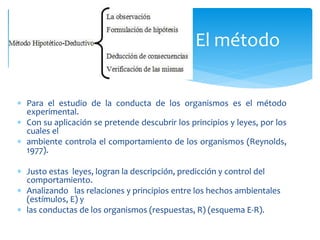  Para el estudio de la conducta de los organismos es el método
experimental.
 Con su aplicación se pretende descubrir los principios y leyes, por los
cuales el
 ambiente controla el comportamiento de los organismos (Reynolds,
1977).
 Justo estas leyes, logran la descripción, predicción y control del
comportamiento.
 Analizando las relaciones y principios entre los hechos ambientales
(estímulos, E) y
 las conductas de los organismos (respuestas, R) (esquema E-R).
El método
 