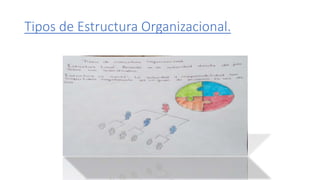 Tipos de Estructura Organizacional.
 