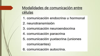 Modalidades de comunicación entre
células
 