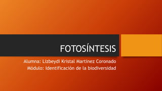 FOTOSÍNTESIS
Alumna: Lizbeydi Kristal Martinez Coronado
Módulo: Identificación de la biodiversidad
 