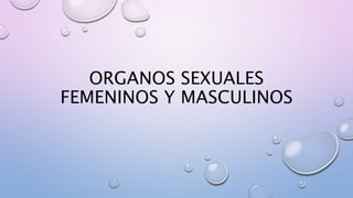 ORGANOS SEXUALES
FEMENINOS Y MASCULINOS
 