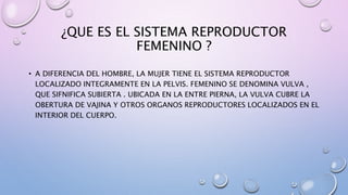 ¿QUE ES EL SISTEMA REPRODUCTOR
FEMENINO ?
• A DIFERENCIA DEL HOMBRE, LA MUJER TIENE EL SISTEMA REPRODUCTOR
LOCALIZADO INTEGRAMENTE EN LA PELVIS. FEMENINO SE DENOMINA VULVA ,
QUE SIFNIFICA SUBIERTA . UBICADA EN LA ENTRE PIERNA, LA VULVA CUBRE LA
OBERTURA DE VAJINA Y OTROS ORGANOS REPRODUCTORES LOCALIZADOS EN EL
INTERIOR DEL CUERPO.
 