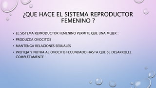 ¿QUE HACE EL SISTEMA REPRODUCTOR
FEMENINO ?
• EL SISTEMA REPRODUCTOR FEMENINO PERMITE QUE UNA MUJER :
• PRODUZCA OVOCITOS
• MANTENGA RELACIONES SEXUALES
• PROTEJA Y NUTRA AL OVOCITO FECUNDADO HASTA QUE SE DESARROLLE
COMPLETAMENTE
 