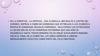 • EN LA PUBERTAD , LA HIPÓFISIS , UNA GLÁNDULA UBICADA EN E CENTRO DEL
CEREBRO, EMPIEZA A FABRICAR HORMONAS QUE ESTIMULAN A LOS OVARIOS A
PRODUCIR HORMONAS SEXUALES FEMENINAS , INCLUYENDO LOS ESTRÓGENOS.
LA SECRECIÓN DE ESTAS HORMONAS DETERMINA QUE UNA NIÑA SE
DESARROLLE HASTA TRANSFORMARSE EN UN AMUJE SEXUALMENTE MADURA .
HACIA EL FINAL DE LA PUBERTAD, LAS NIÑAS EMPIEZAN A LIBERAR
MENSUALMENTE OVOCITOS COMO PARTE DEL CICLO MESTRUAL.
 