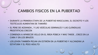 CAMBIOS FISICOS EN LA PUBERTAD
• DURANTE LA PRIMERA ETAPA DE LA PUBERTAD MASCULINA, EL ESCROTO Y LOS
TESTÍCULOS AUMENTAN DE TAMAÑO
• EL PENE DE AGRANDA , Y LAS VESÍCULAS SEMINALES Y LAS GLÁNDULAS
PROSTÁTICAS CRECEN
• COMIENZA A APARECER VELLO EN EL ÁREA PÚBICA Y MAS TARDE , CRECE EN LA
CARA Y EN LOS BRAZOS
• LOS JOVEN TAMBIÉN PEGAN UN ESTIRÓN EN LA PUBERTAD Y ALCANZAN LA
ESTATURA Y EL PESO ADULTO
 