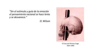 “Sin el estímulo y guía de la emoción
el pensamiento racional se hace lento
y se desvanece.”
O. Wilson
El Caso de Phineas Gage
1823-1860
 