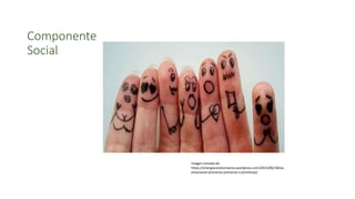 Componente
Social
Imagen tomada de:
https://sinergiaconeluniverso.wordpress.com/2015/06/18/las-
emociones-primarias-primarias-o-primitivas/
 