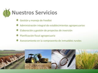 Nuestros ServiciosGestión y manejo de FeedlotAdministración integral de establecimientos agropecuariosElaboración y gestión de proyectos de inversiónPlanificación fiscal agropecuariaAsesoramiento en la compraventa de inmuebles rurales
