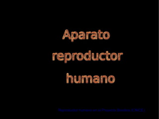 Reproductor humano en el Proyecto Biosfera (CNICE)
 