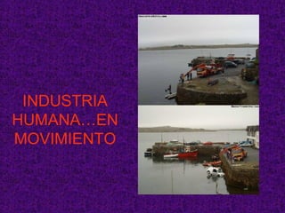 INDUSTRIA HUMANA…EN MOVIMIENTO