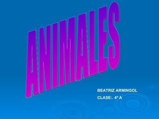 ANIMALES BEATRIZ ARMINGOL CLASE:. 4º A  