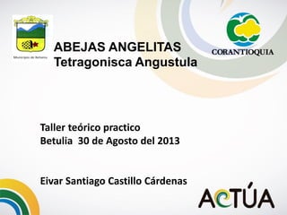 Taller teórico practico
Betulia 30 de Agosto del 2013
Eivar Santiago Castillo Cárdenas
ABEJAS ANGELITAS
Tetragonisca Angustula
 