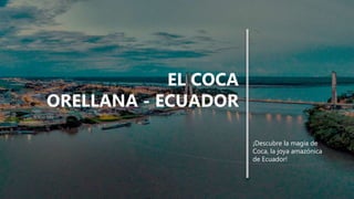 EL COCA
ORELLANA - ECUADOR
¡Descubre la magia de
Coca, la joya amazónica
de Ecuador!
 