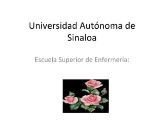 Universidad Autónoma de Sinaloa Escuela Superior de Enfermería: 