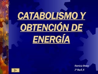 CATABOLISMO Y OBTENCIÓN DE ENERGÍA Patricia Bravo 2º Bach A 
