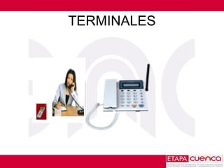 TERMINALES 