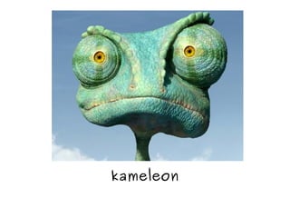 kameleon
 