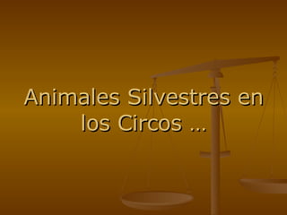 Animales Silvestres en los Circos … 