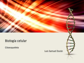 Biología celular 
Citoesqueleto 
Luis Samuel Durán 
 
