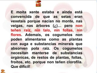 E moita xente estaba e aínda está
convencida de que as setas eran
vexetais porque nacían no monte, nas
veigas, nas árbores (¿)… pero non
teñen raíz, nin talo, nin follas, nin
flores. Ademais, os cogumelos non
poden alimentarse como as plantas
con auga e substancias minerais que
absorven pola raíz. Os cogumelos
necesitan manterse de substancias
orgánicas, de restos de plantas, follas,
froitos, etc. porque non teñen clorofila.
Que difícil!
 