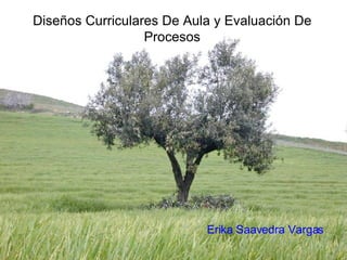 Diseños Curriculares De Aula y Evaluación De Procesos Erika Saavedra Vargas 