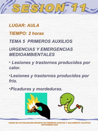 SESION 11 CURSO DE ACTUALIZACIÓN DOCENTE EN PRIMEROS AUXILIOS Y SALVAMENTO ACUÁTICO SEPTIEMBRE 2005 LUGAR: AULA TIEMPO: 2 horas TEMA 5  PRIMEROS AUXILIOS URGENCIAS Y EMERGENCIAS MEDIOAMBIENTALES  Lesiones y trastornos producidos por calor. Lesiones y trastornos producidos por frio. Picaduras y mordeduras. 