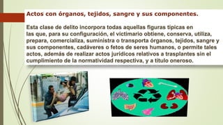Actos con órganos, tejidos, sangre y sus componentes.
Esta clase de delito incorpora todas aquellas figuras típicas en
las que, para su configuración, el victimario obtiene, conserva, utiliza,
prepara, comercializa, suministra o transporta órganos, tejidos, sangre y
sus componentes, cadáveres o fetos de seres humanos, o permite tales
actos, además de realizar actos jurídicos relativos a trasplantes sin el
cumplimiento de la normatividad respectiva, y a título oneroso.
 
