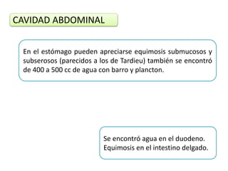 CAVIDAD ABDOMINAL
En el estómago pueden apreciarse equimosis submucosos y
subserosos (parecidos a los de Tardieu) también se encontró
de 400 a 500 cc de agua con barro y plancton.
Se encontró agua en el duodeno.
Equimosis en el intestino delgado.
 