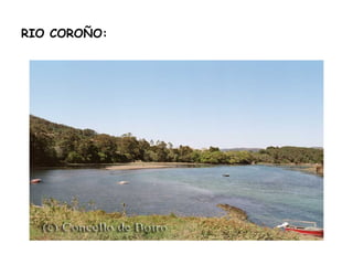 RIO COROÑO: 